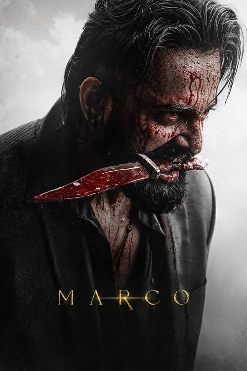 Marco Malayalam movie poster